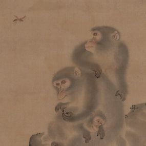 [object Object] - Family of monkeys