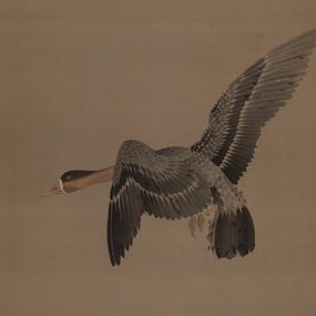 [object Object] - A goose in flight
