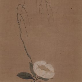 [object Object] - Unusual representation of a white magnolia and a willow branch