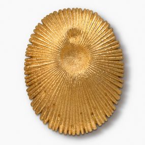[object Object] - fungus 3