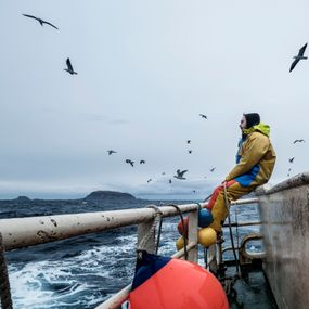 [object Object] - A photographer becomes Fisherman