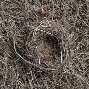 [object Object] - Italy Nest