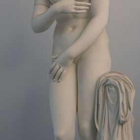 null - calco di statua, Venere Capitolina 