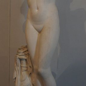 null - calco di statua, Venere dell’Esquilino 
