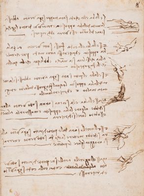 Leonardo da Vinci - Código sobre el vuelo de las aves.