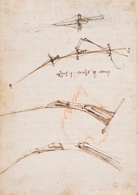Leonardo da Vinci - Code sur le vol des oiseaux