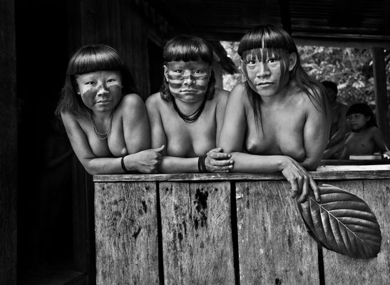 Sebastião Salgado - Junge Suruwahá-Frauen. Bundesstaat Amazonas, Brasilien