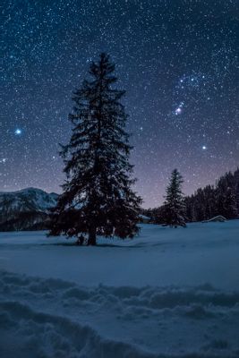 Orion and Sirius