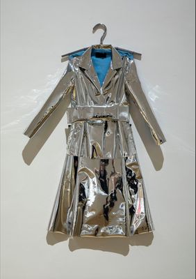 Monica Bolzoni - Silver dress