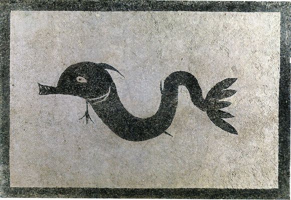 Pavement with dolphin in the thermal environment (tepidarium)