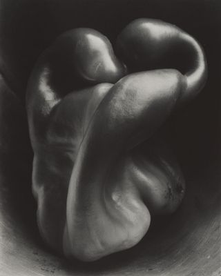 Edward Weston - Pfeffer Nr. 30
