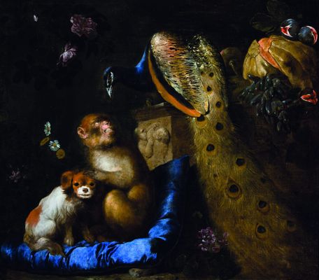 Anton Maria Vassallo - Allegoria con cagnolino, scimmia e pavone