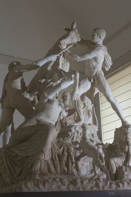 Statua del Toro Farnese