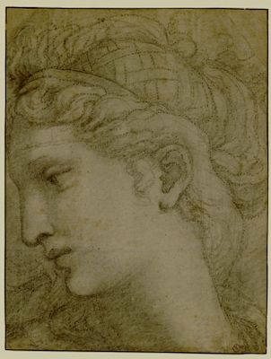 Giulio Romano - Cabeza de mujer en el banquete de bodas de Cupido y Psique