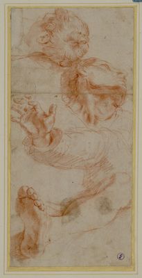 Polidoro Caldara, detto Polidoro da Caravaggio - Studien von Köpfen und Gliedmaßen