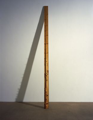 Giuseppe Penone - 5 meter mast