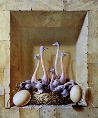 Fabrizio Clerici - Small ostrich nest