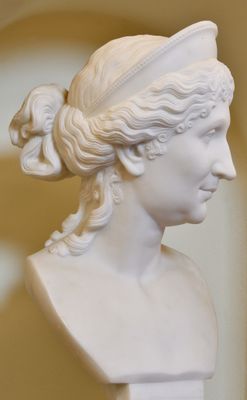 Portrait of Letizia Ramolino Bonaparte