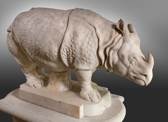 Pieter Antoon Verschaffelt - Rinoceronte (Clara)