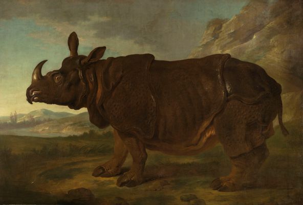 Jean-Baptiste Oudry - Rinoceronte