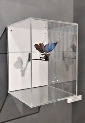 Rebecca Horn - la farfalla