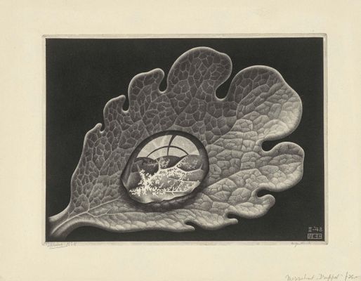 Maurits Cornelis Escher - Dewdrop