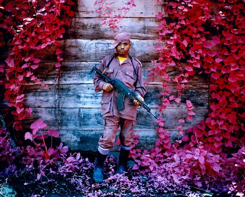 Richard Mosse - Dead Leaves and the Dirty Ground II