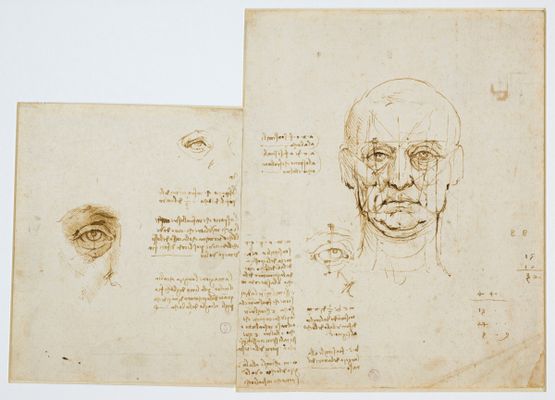 Leonardo da Vinci - Studi di proporzioni del volto e dell'occhio