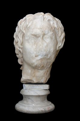 Testa ritratto di Alessandro Magno