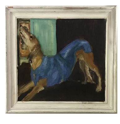 SECTION 8 - 2 - Dog with blue coat