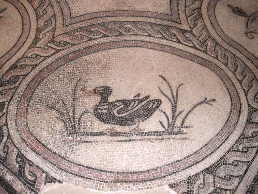 Detail of the Triclinium room