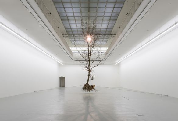 Henrik Hakansson - A Tree (Suspended)