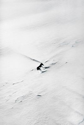 Paolo Pellegrin - Antenas tomadas desde un avión P3 de la NASA sobrevolando la Península Sur A. Antártida