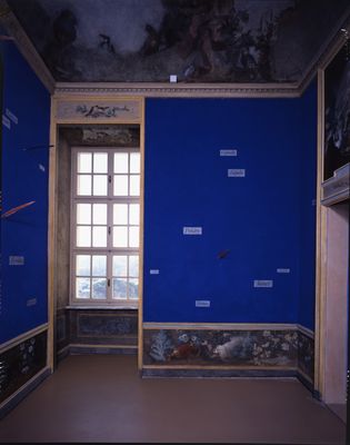 Lothar Baumgarten - Yurupari – Rheinsberg Room