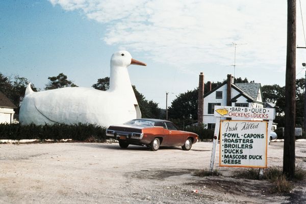 «The Big Duck», shop in the shape of a duck on the highway on Long Island