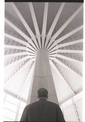One of the pillars of the Palazzo del Lavoro, designed by Pier Luigi Nervi with the collaboration of the architect Gio Ponti and Gino Covre