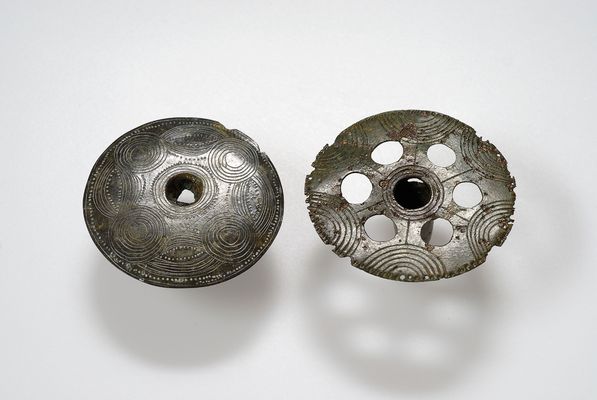 Pin heads from the terramare of Gazzade and Gorzano