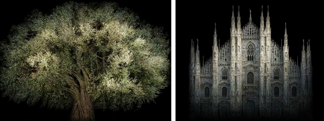 Irene Kung - Cathedral and Olive Tree Fara Sabina