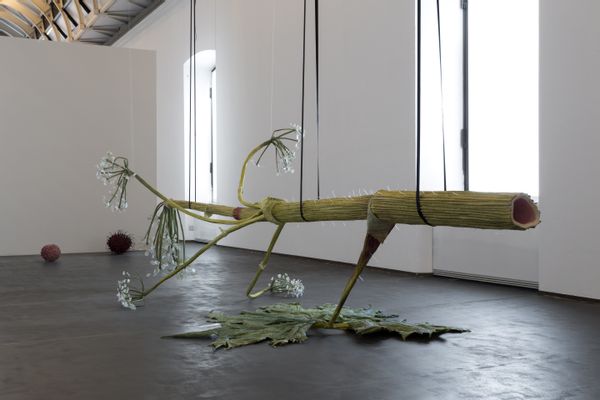 Ingela Ihrman - The giant hogweed