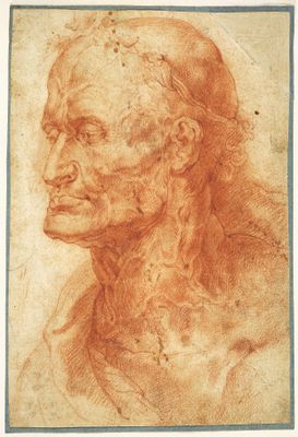 Peter Paul Rubens - Head of an old man