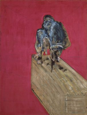Francis Bacon - Studio per scimpanzé