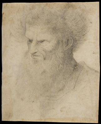 Giovanni Agostino da Lodi - Tête d'homme barbu