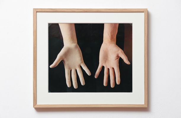 Giuseppe Penone - Glove
