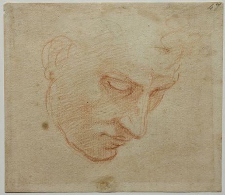 Michelangelo Buonarotti - Studio di testa per la Volta della Sistina
