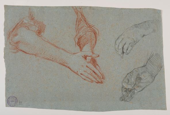 Giambattista Tiepolo - Mani in preghiera