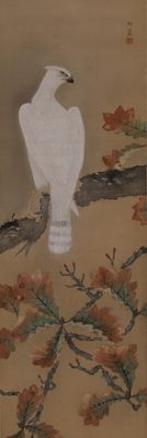 Uemura Shōkō - A white eagle on the branch of an oak