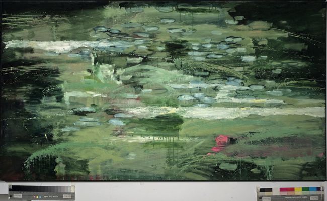 Raimondo Sirotti - Villa Ollandini. Reflections in the pond