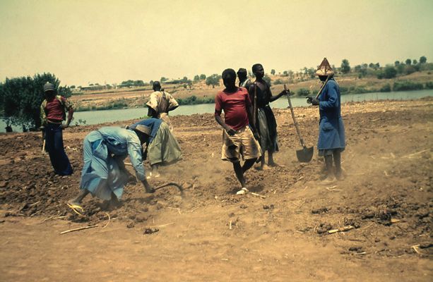 Bouba Touré - Preparation of the land, cooperative of Somankidi 