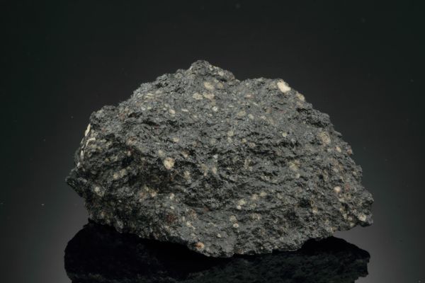 Renazzo, chondrite type meteorite