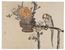 Kōno Bairei - Album di disegni di Bairei di Cento uccelli